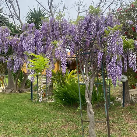 Agrib&b Lemontree Garde'n Alojamento de Acomodação e Pequeno-almoço