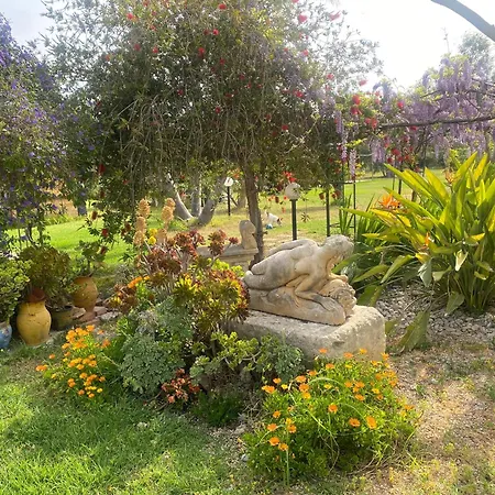 Alojamento de Acomodação e Pequeno-almoço Agrib&b Lemontree Garde'n