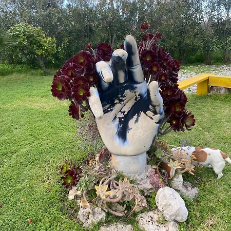 Agrib&b Lemontree Garde'n Alojamento de Acomodação e Pequeno-almoço 4*