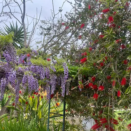 Agrib&b Lemontree Garde'n 4*