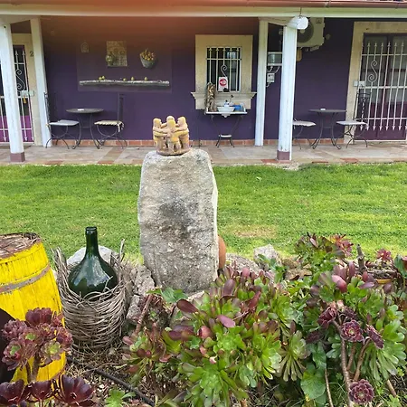 Agrib&b Lemontree Garde'n