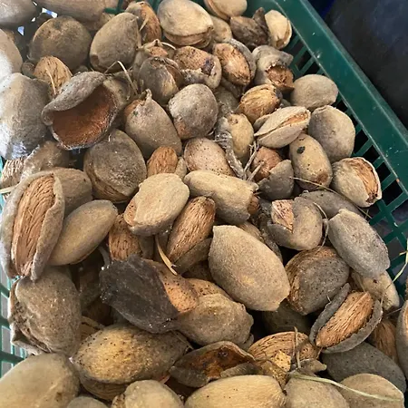 Agrib&b Lemontree Garde'n Alojamento de Acomodação e Pequeno-almoço