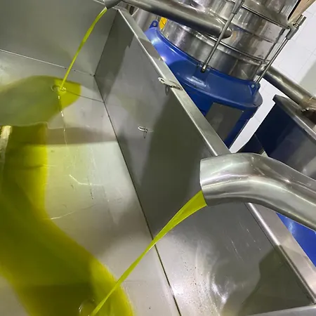 Agrib&b Lemontree Garde'n Alojamento de Acomodação e Pequeno-almoço 4*