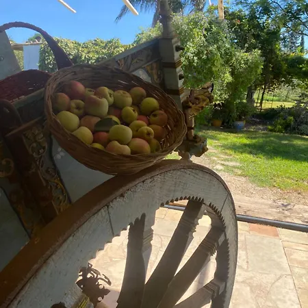 Agrib&b Lemontree Garde'n Alojamento de Acomodação e Pequeno-almoço