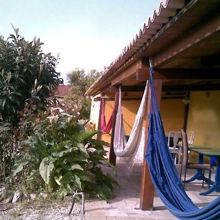 Agrib&b Lemontree Garde'n Syracuse