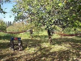 Agrib&b Lemontree Garde'n