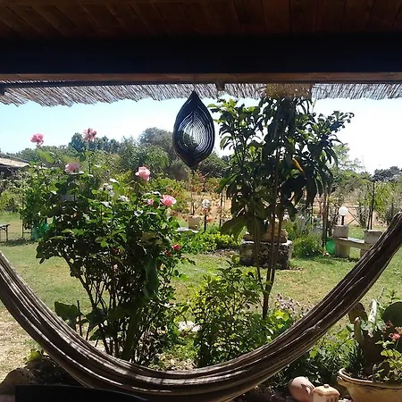 Agrib&b Lemontree Garde'n